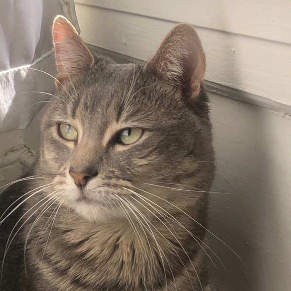 Some info about me. - Picture 1 of 1